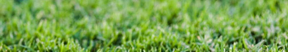 grass1